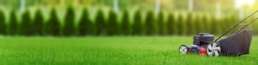 alpharetta-sod-suppiers-bermuda-turf
